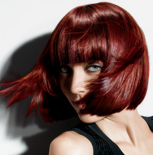 All You Need To Know About Global Hair Color  Envi Salons